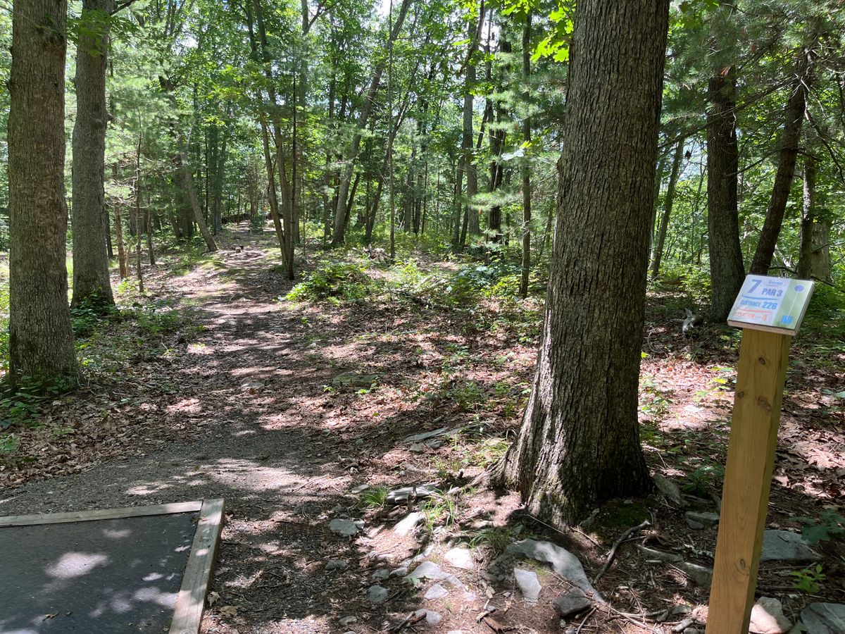 Hole 7