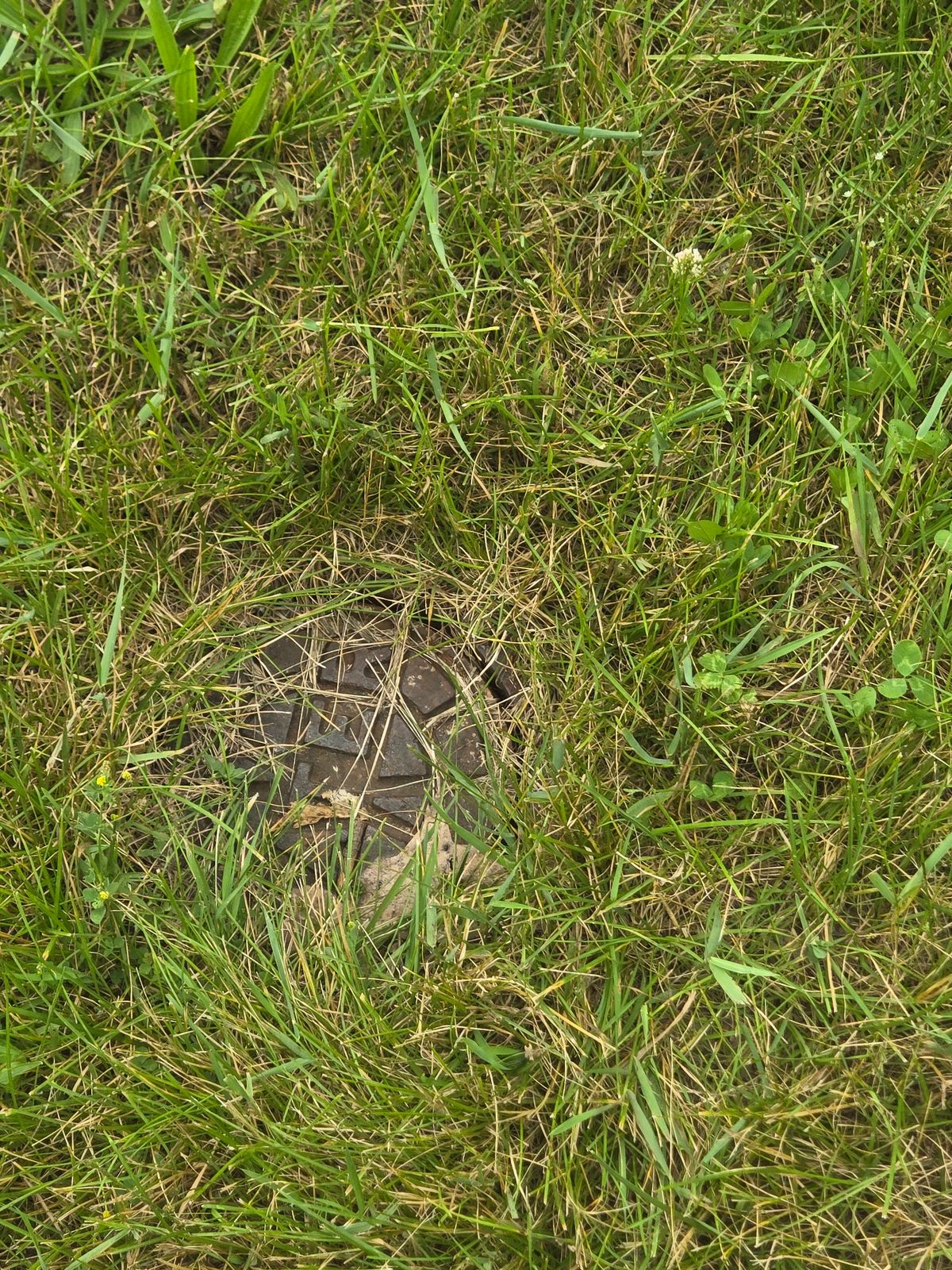 Start of hole 1 water cap in Gound