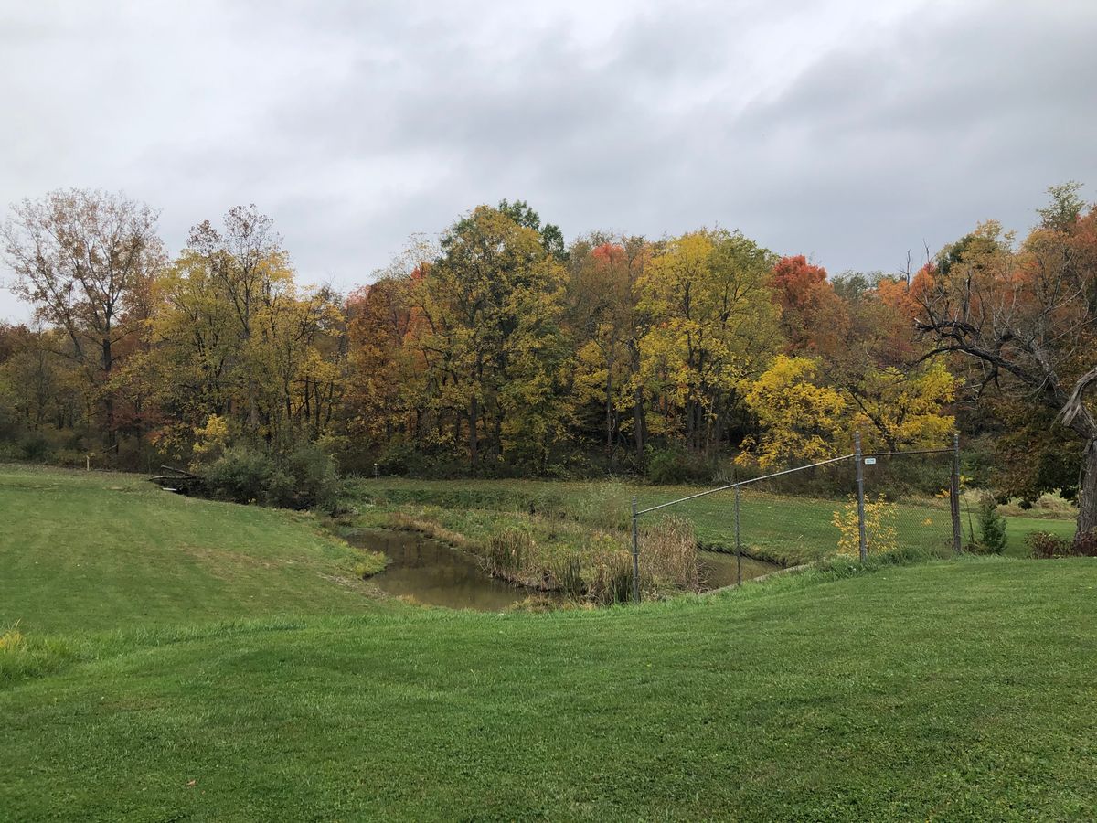 Hole 8