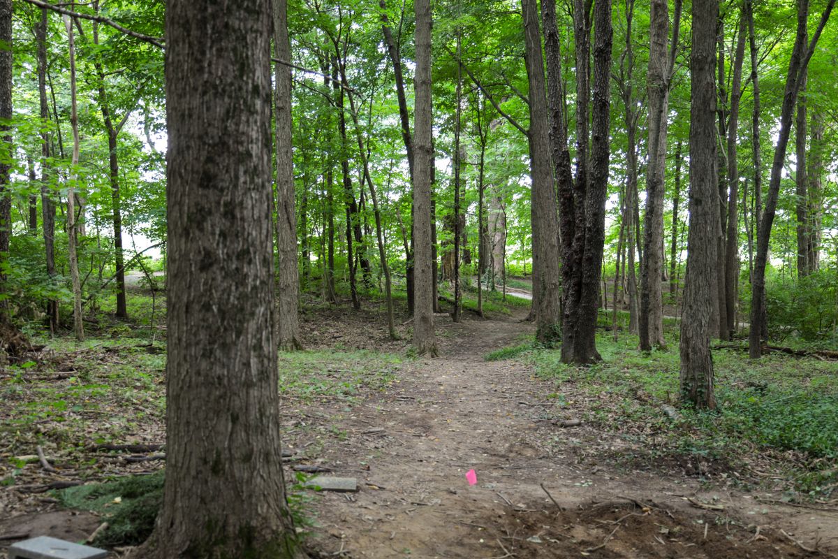 Hole 5- tee