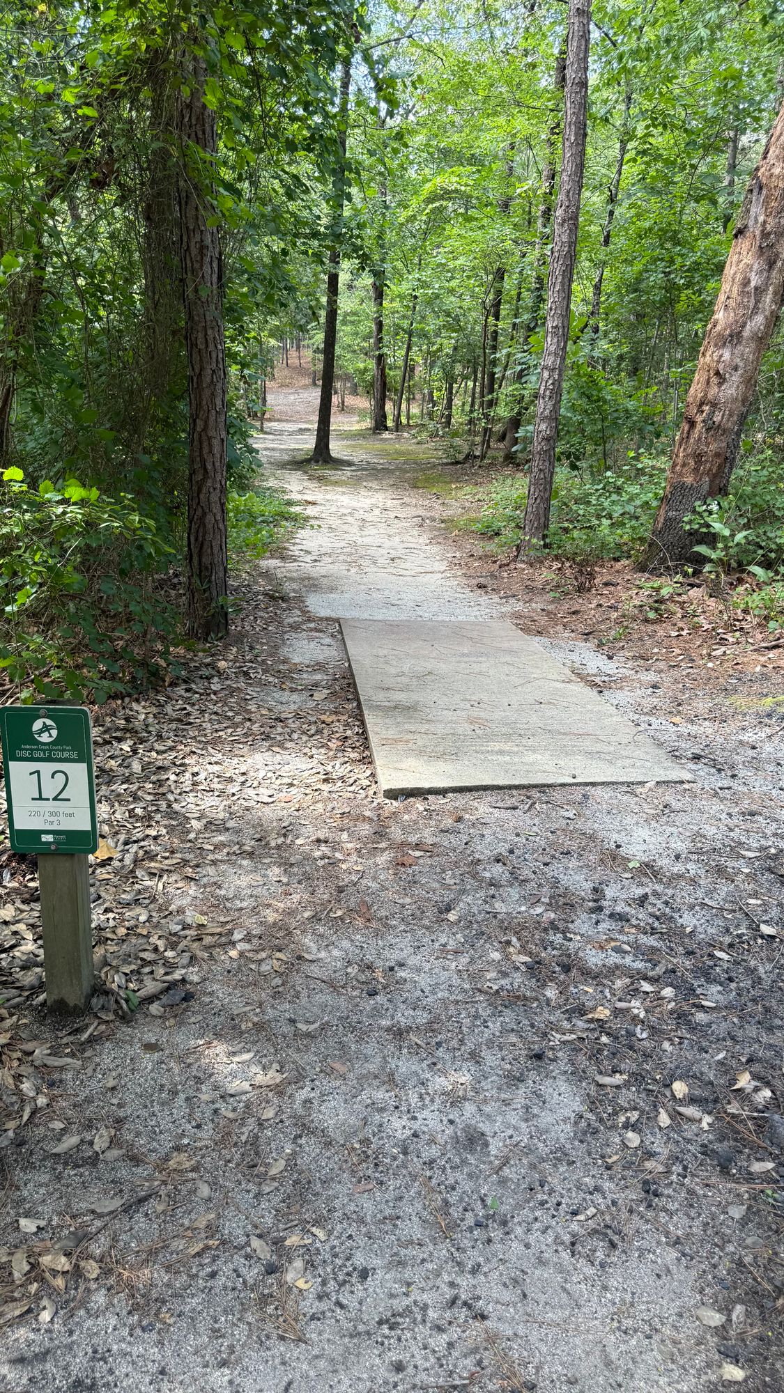 Hole 12 Tee Pad
