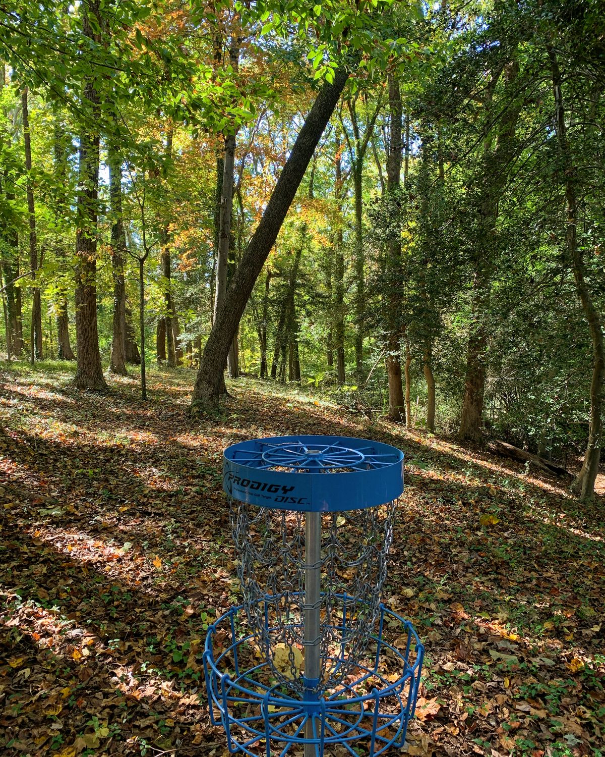 Hole 5, looking back.