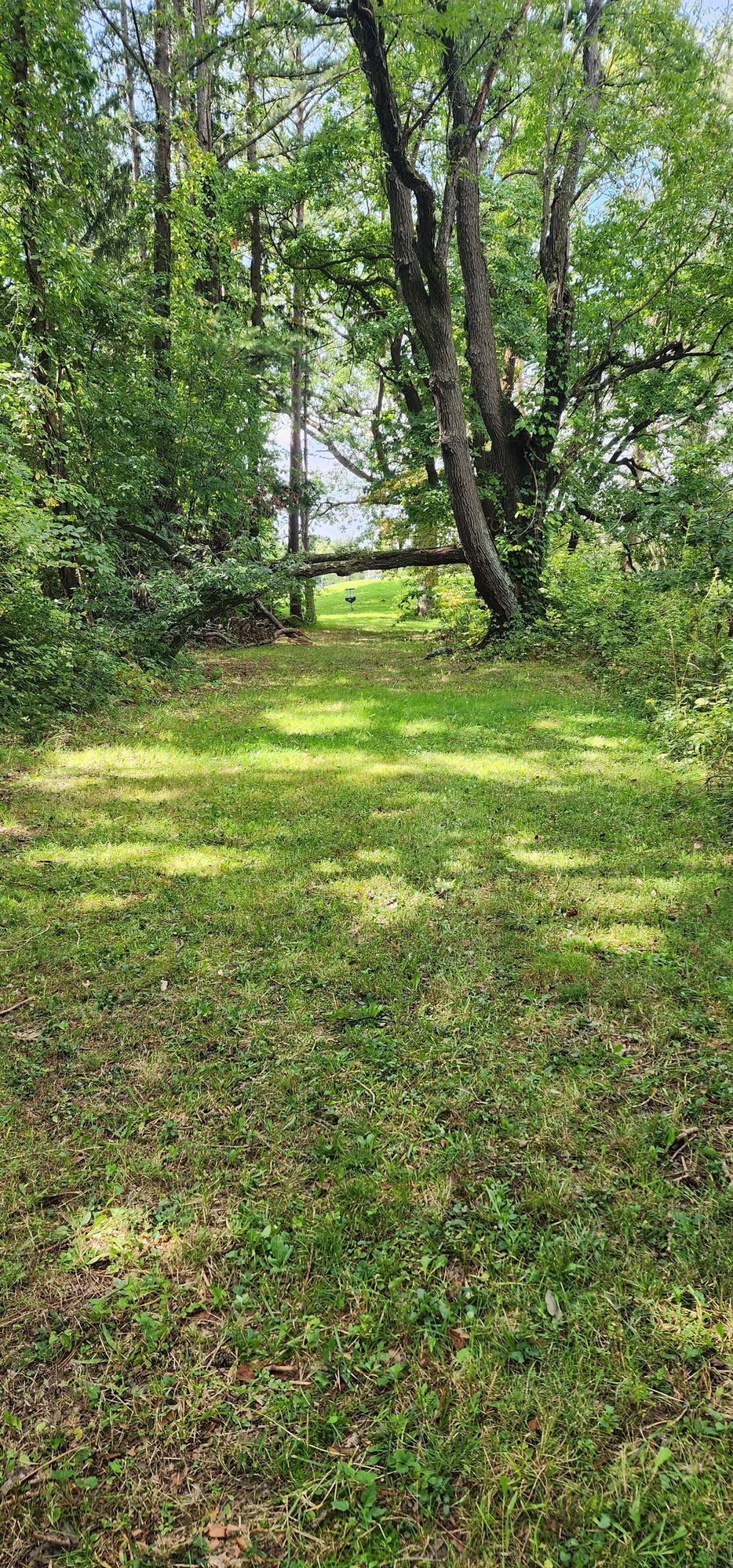 Hole 4 "Over/Under"