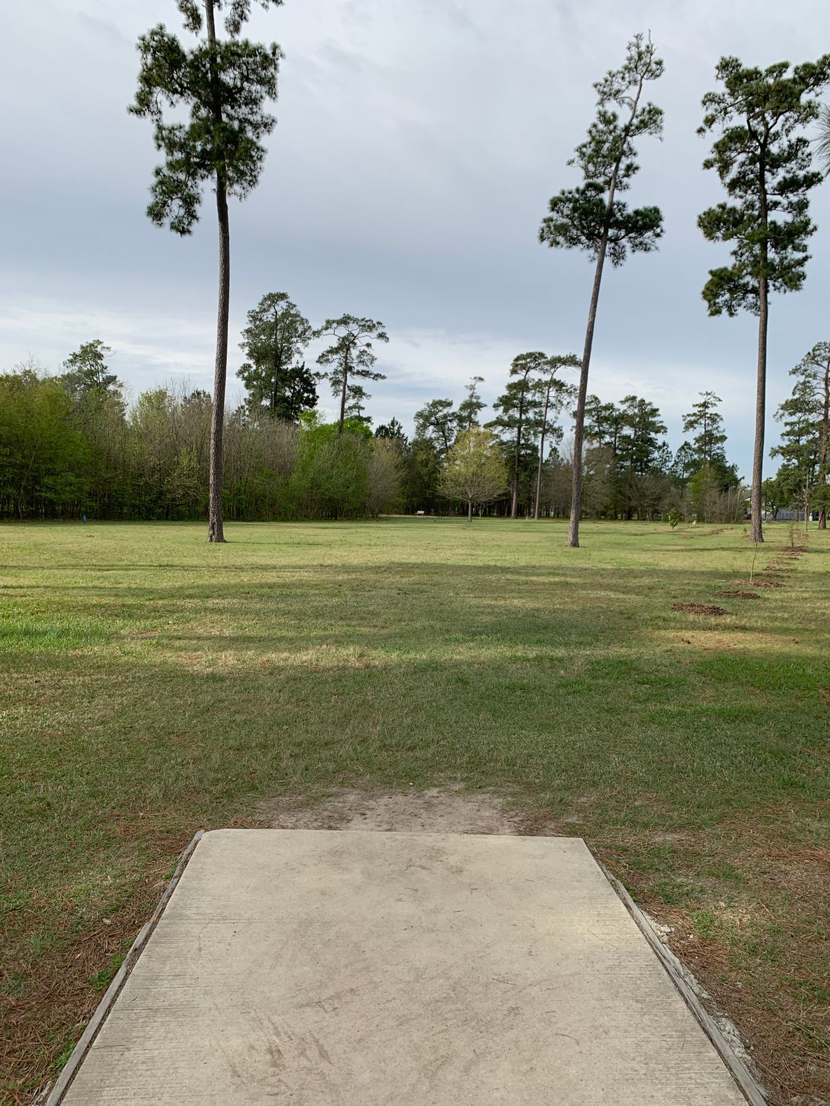 Hole 11