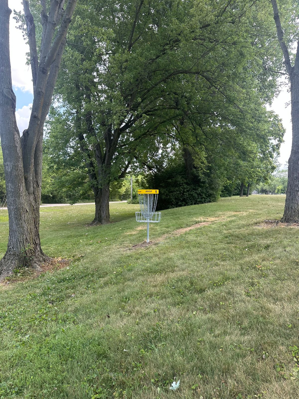 Hole 15 basket