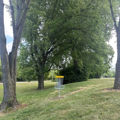 Hole 15 basket