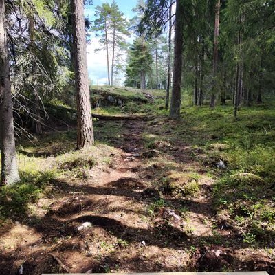Väylä 3 boksilta