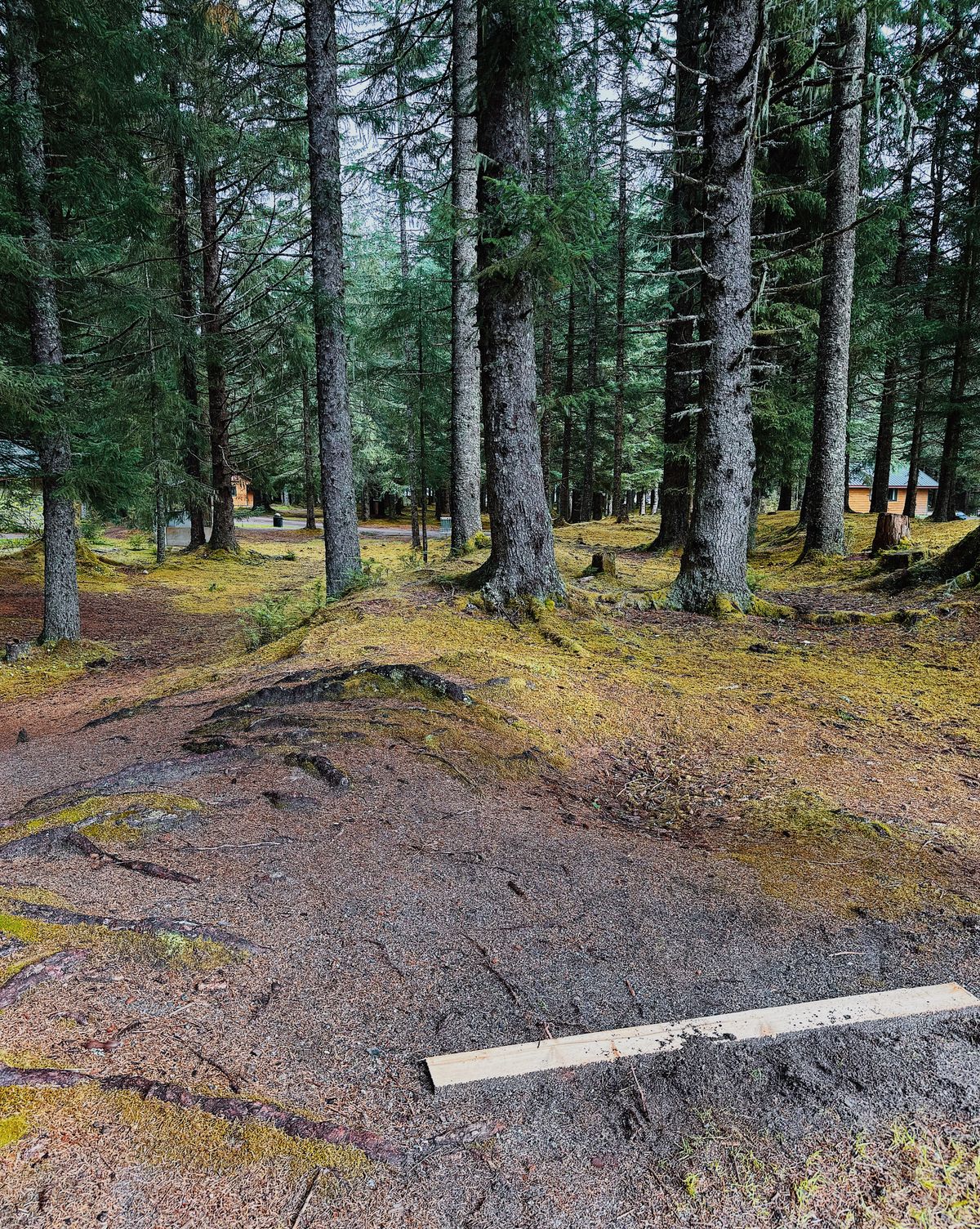 Hole 3 Tee Pad
