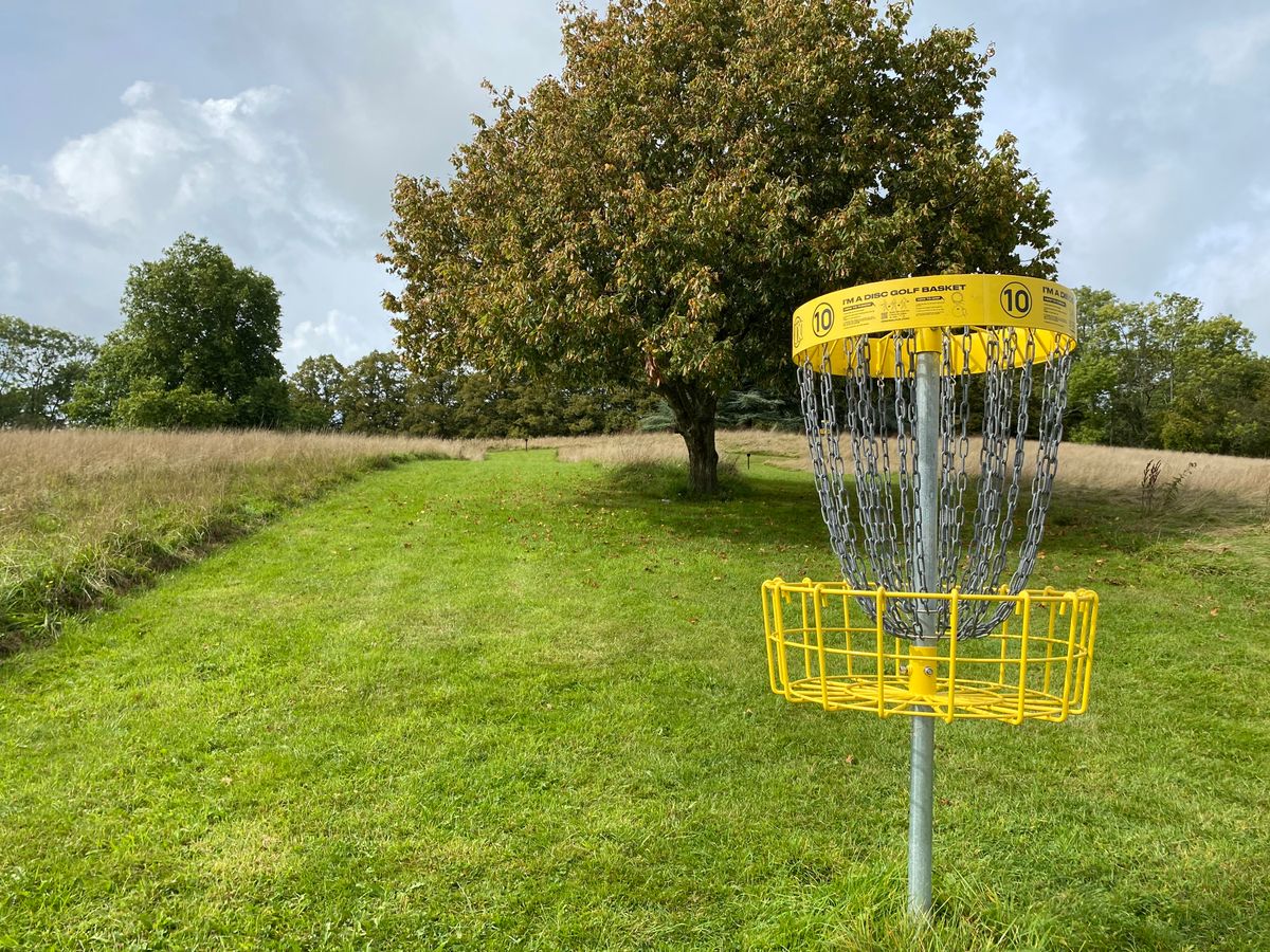 Hole 10 basket  looking back towards tee