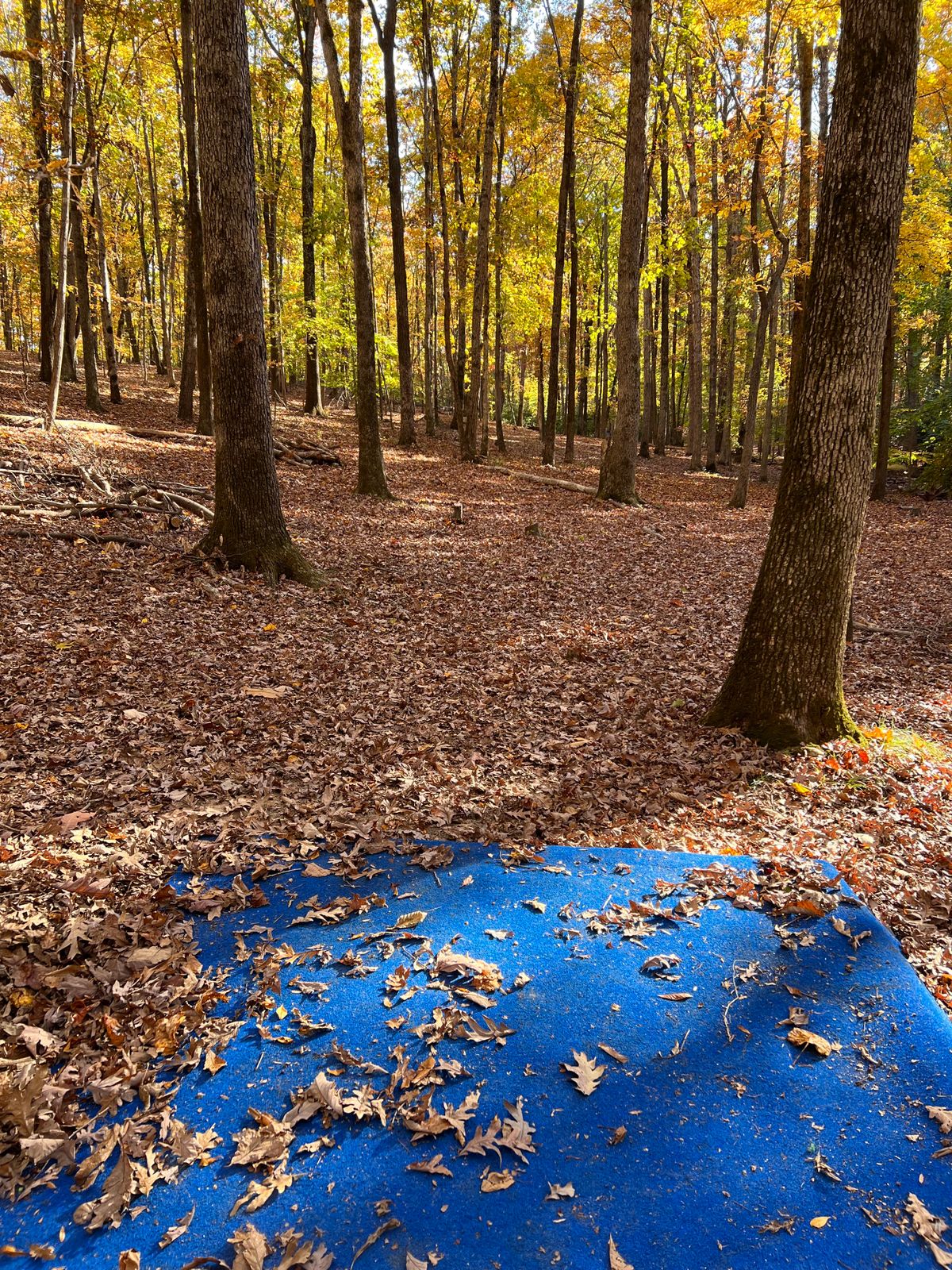 Hole 7