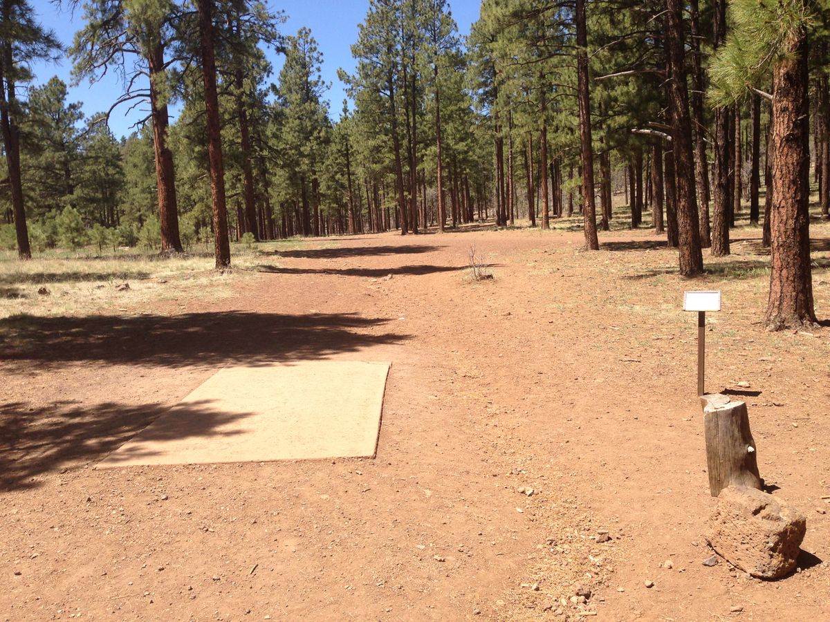 Hole 12