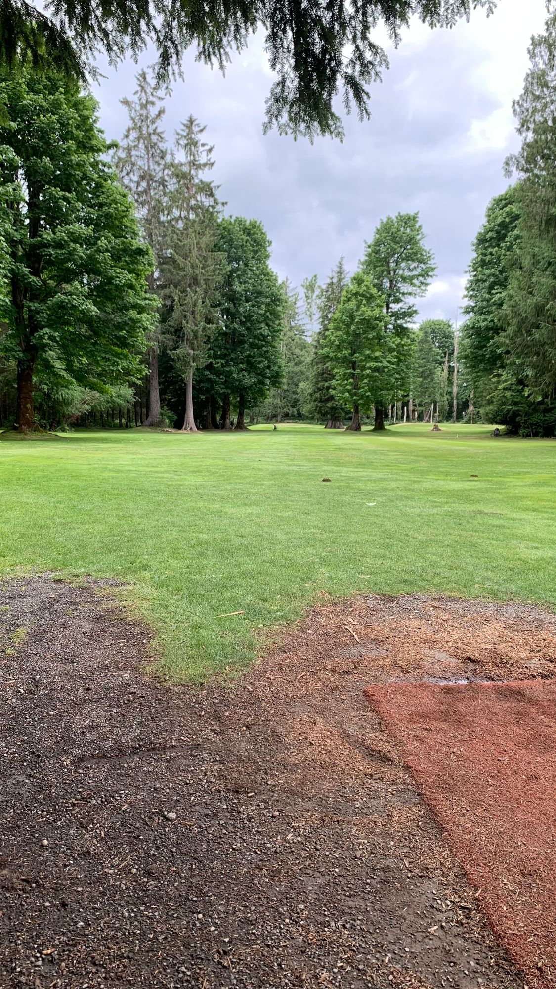 Hole 15