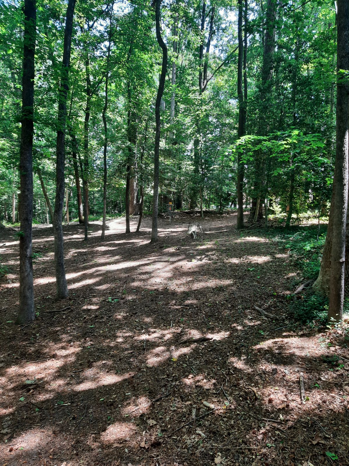 Hole 8 Approach