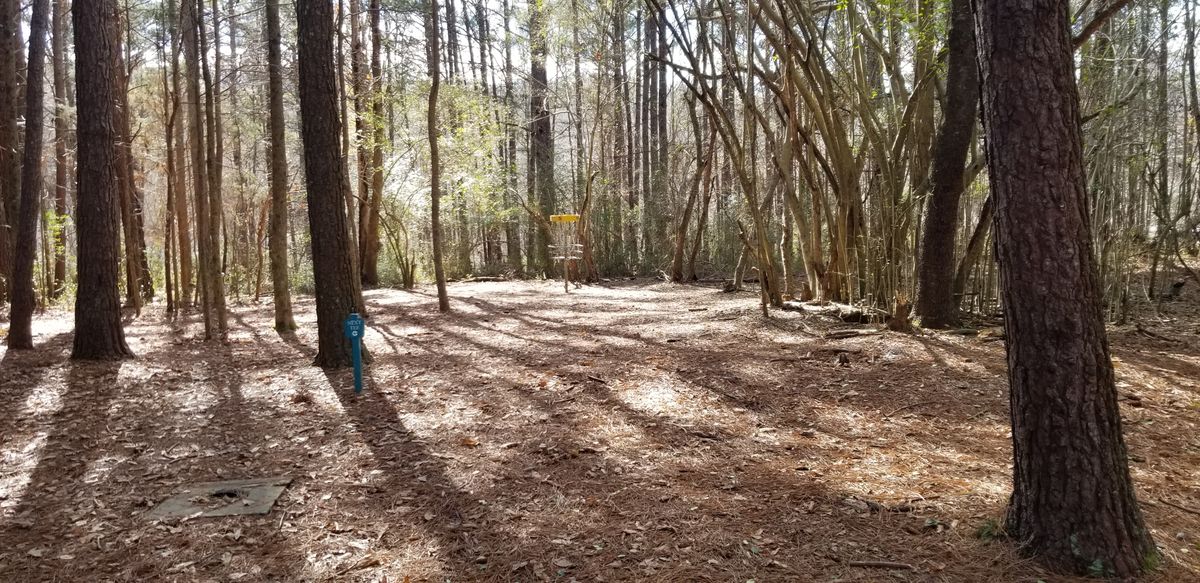 Hole 5 Fairway/Approach