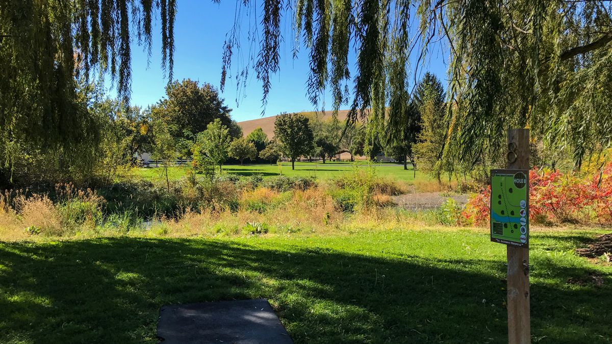 Hole 8