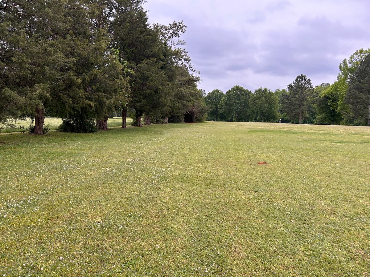 Looking back at 13’s tee from fairway