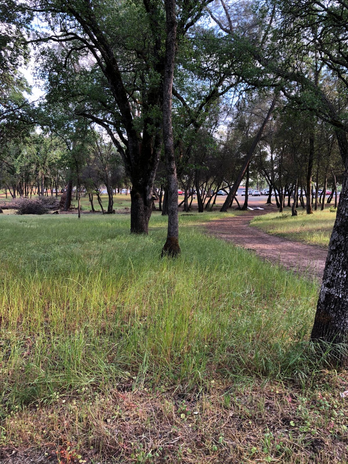 Hole 15