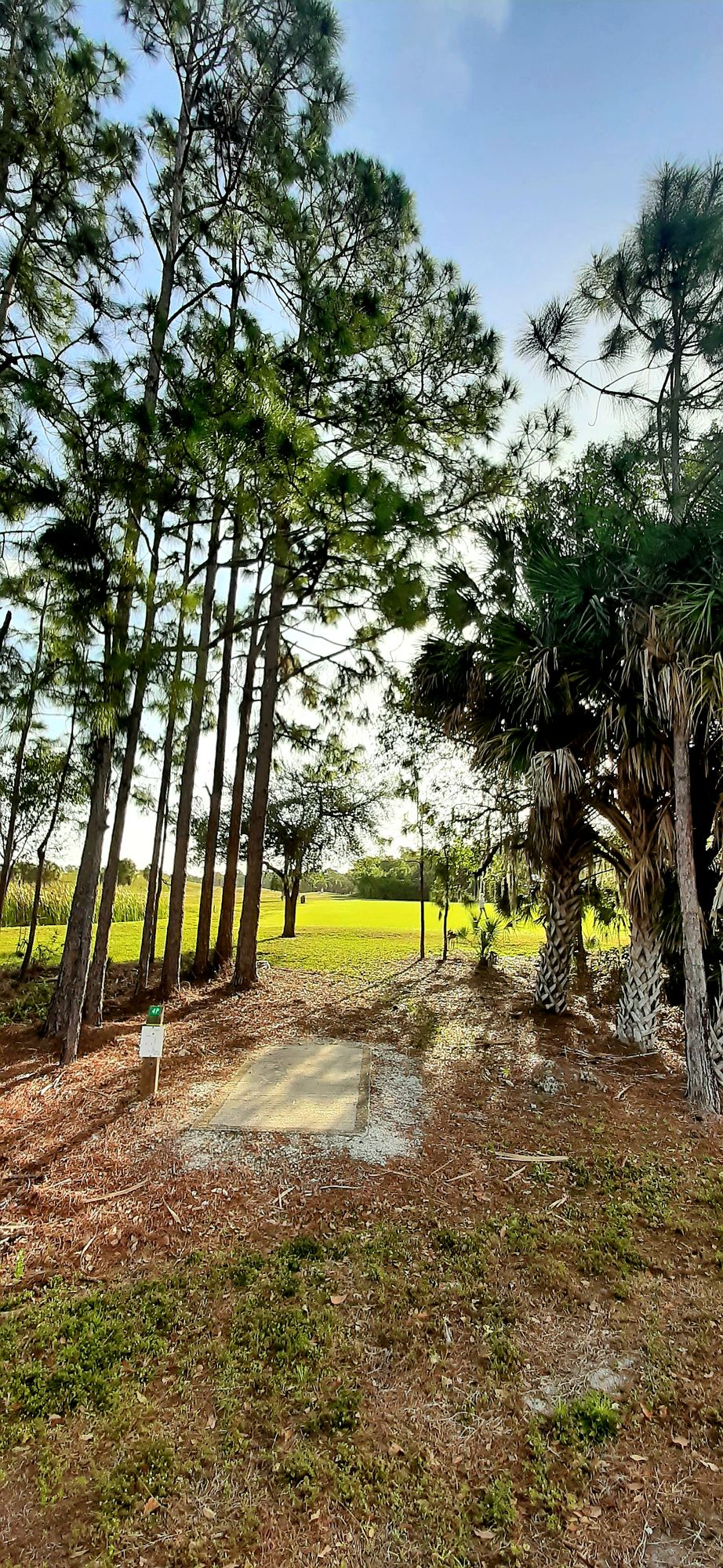 Hole 4