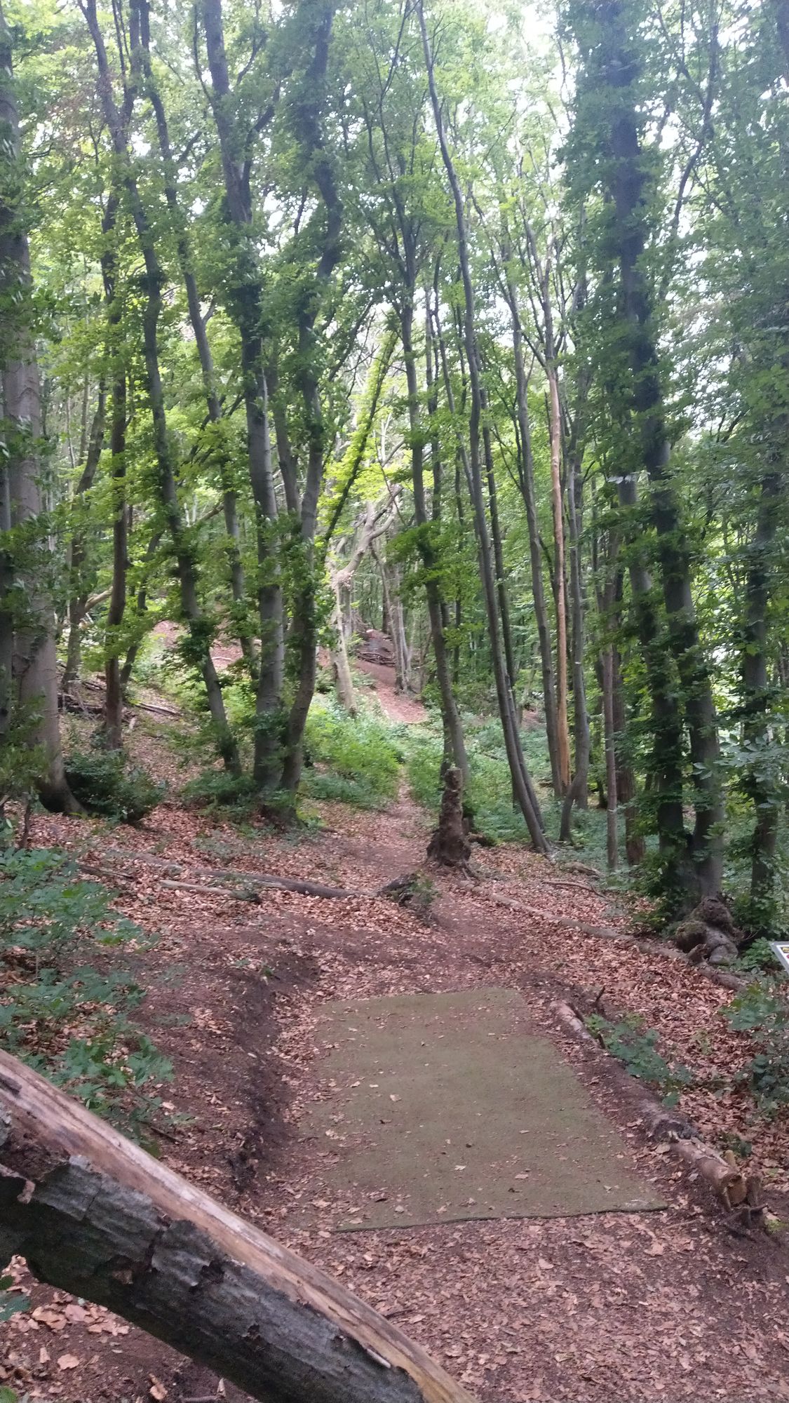 Hole 13: Uphill right to left slope with basket on top
