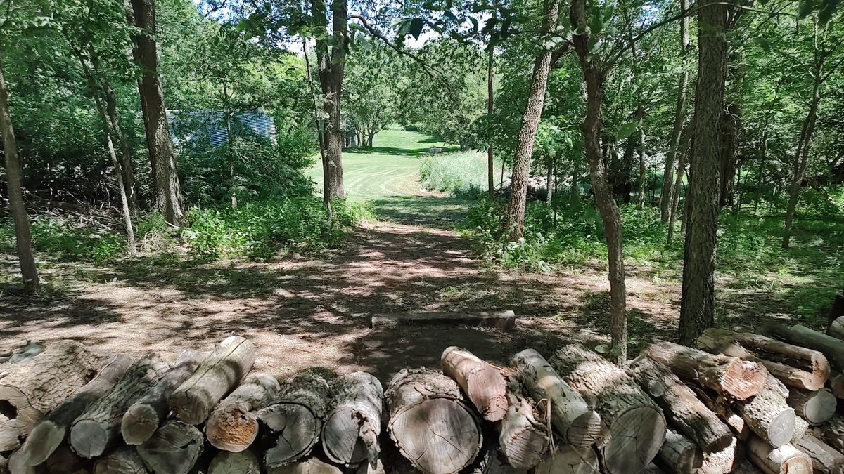Hole 8. Nice elevation change. Coming out of the forest.
