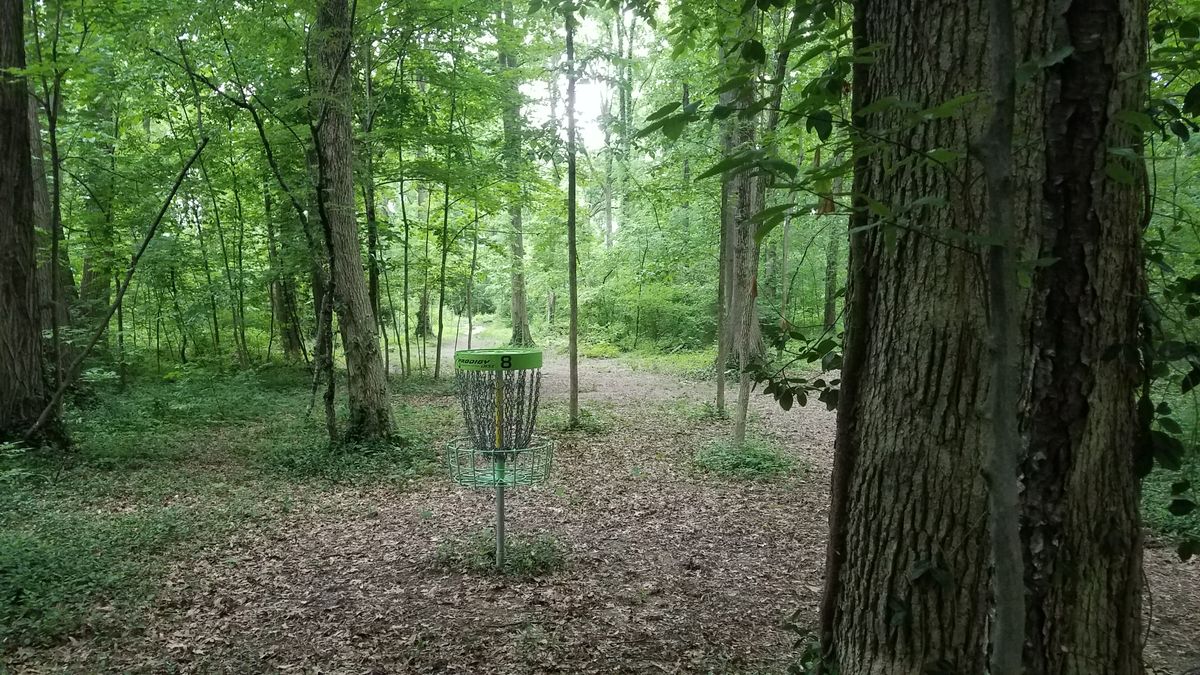 Looking back from the long position