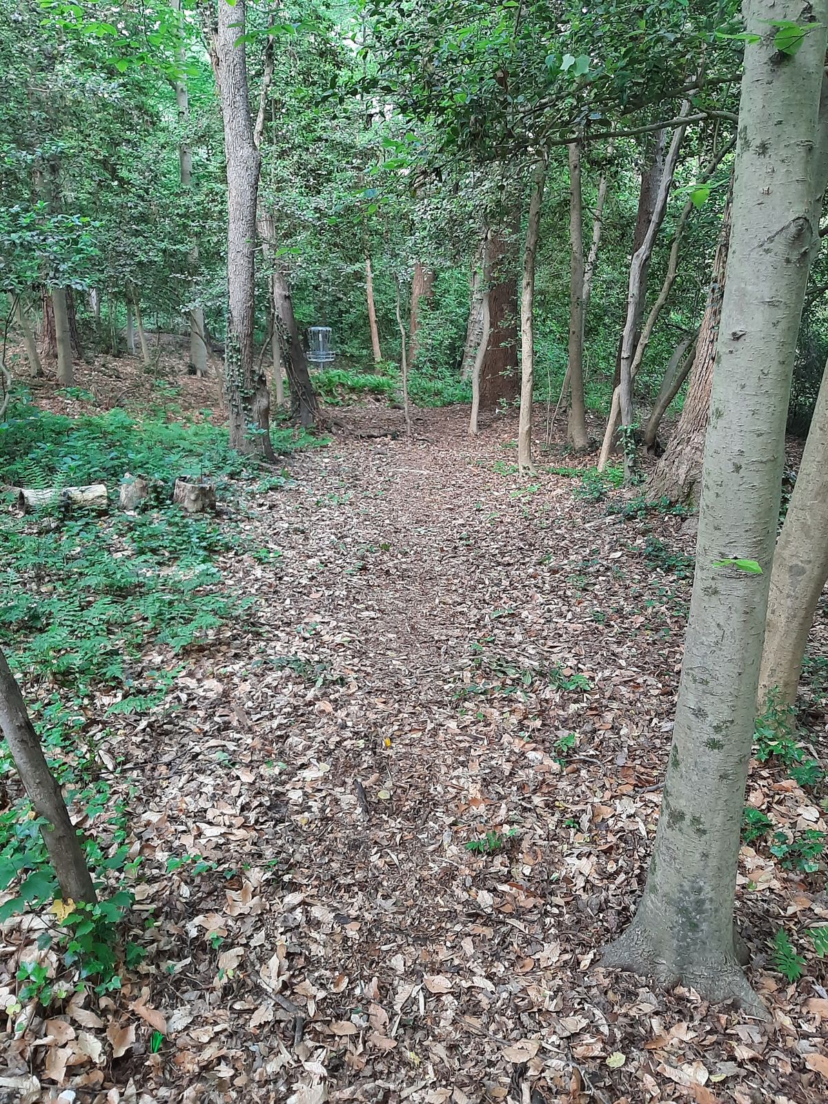 Hole 10 Red Tee