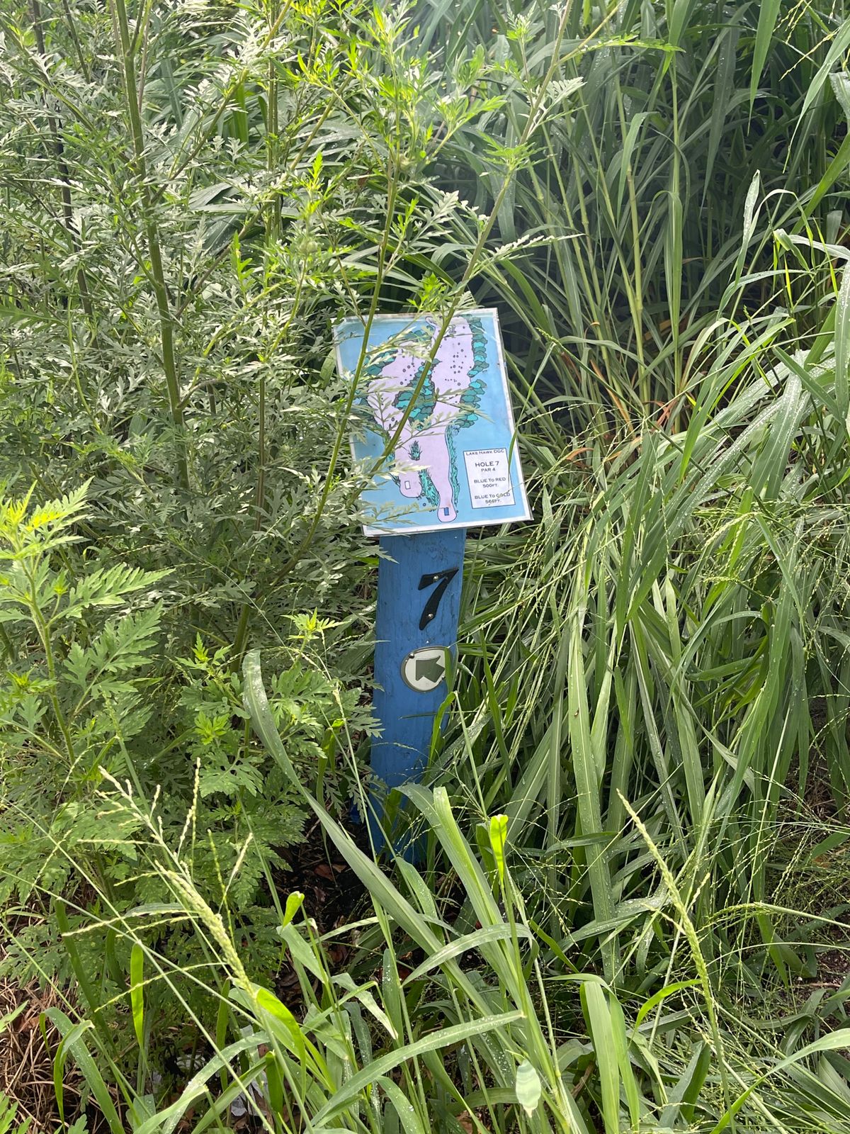 Hole 7 signage