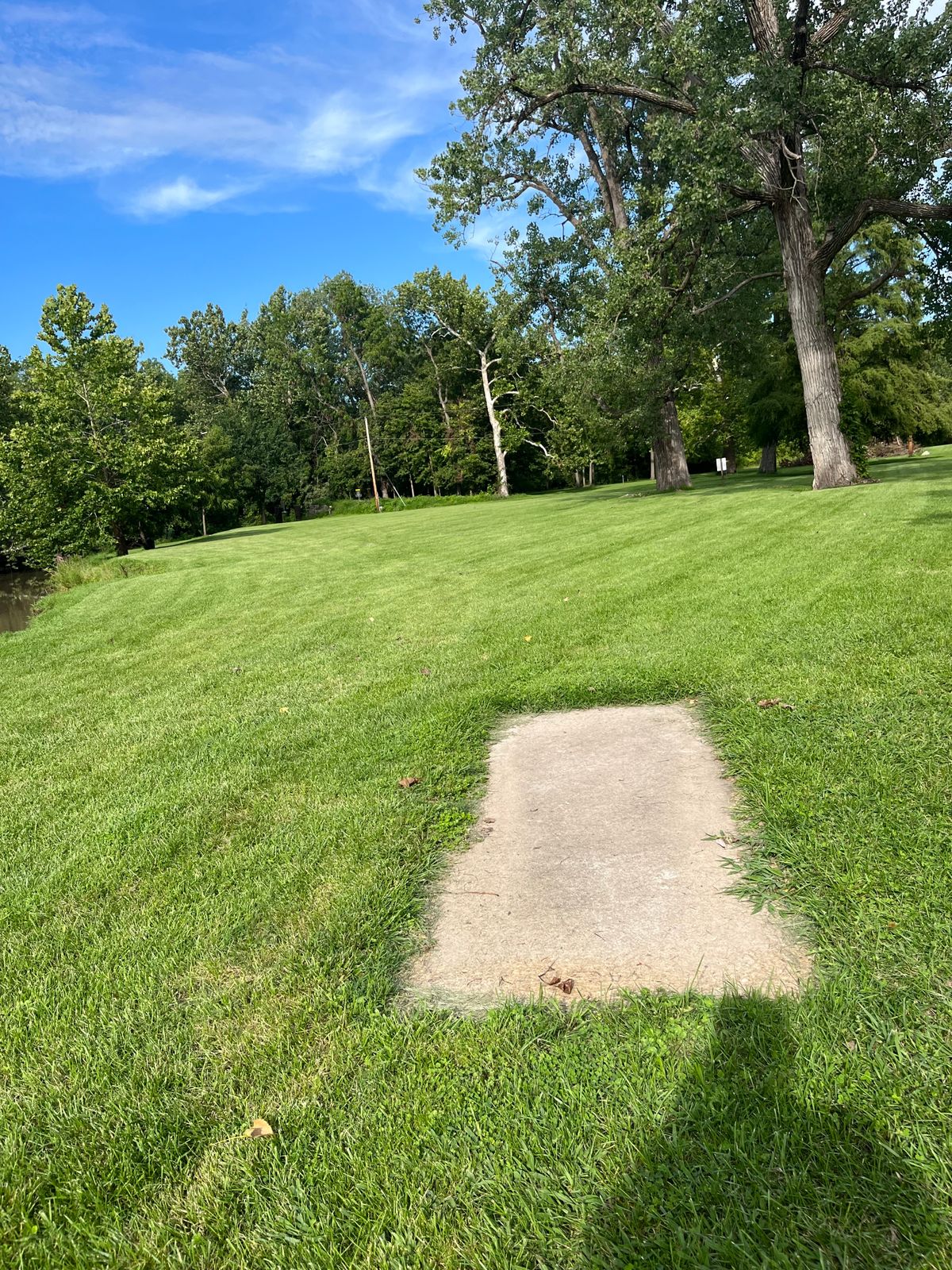 Hole 5 short tee.