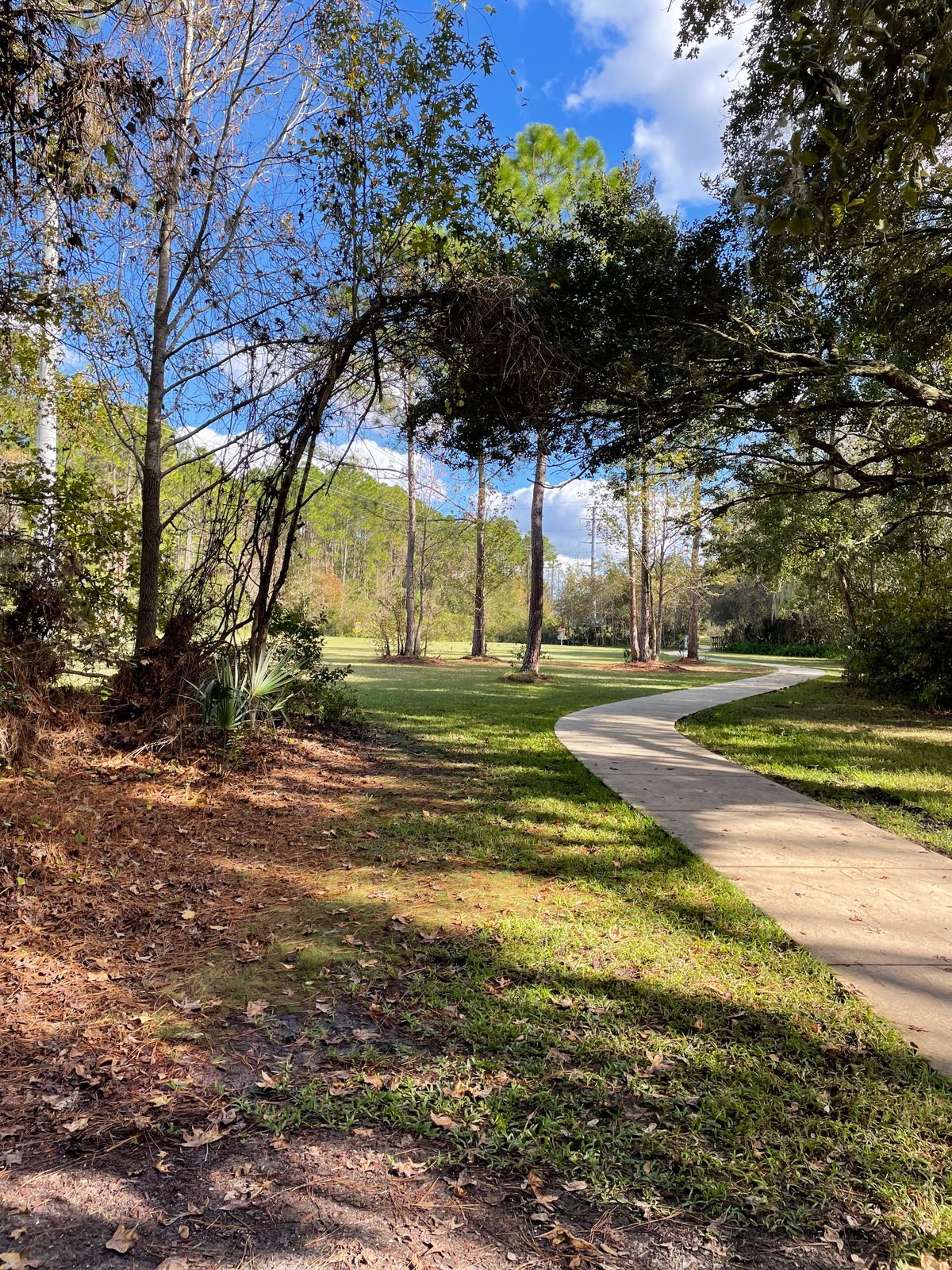 Hole 6 green looking back 