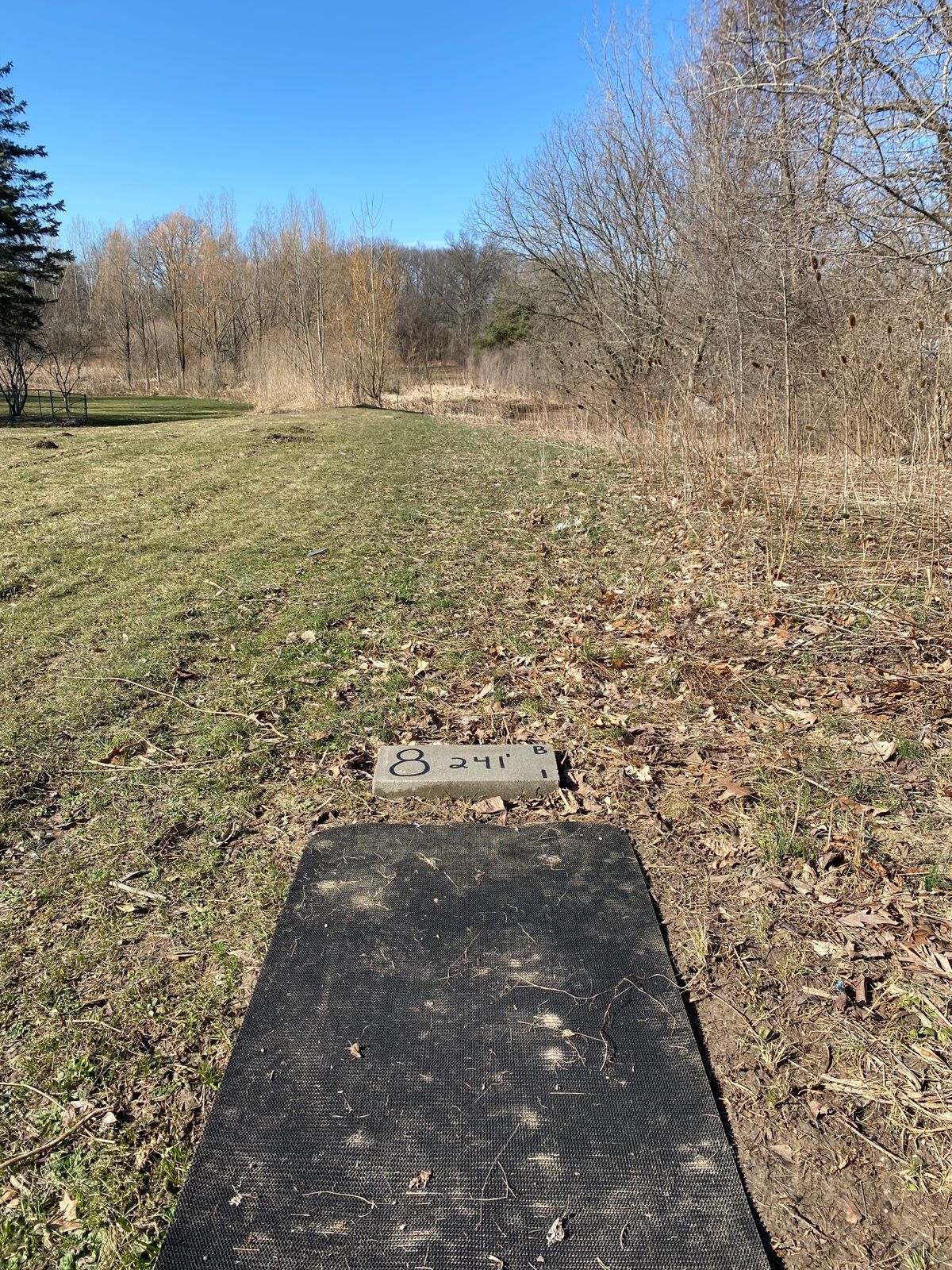 Hole 8