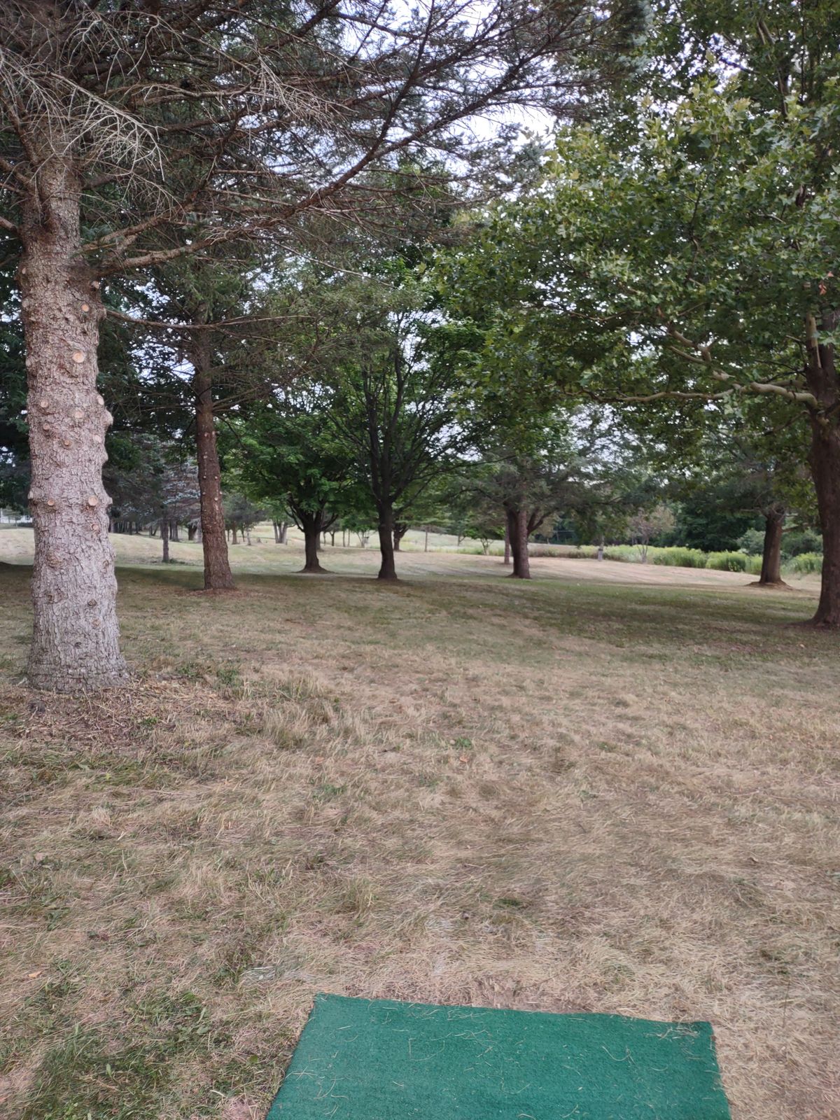 Hole 17 tee