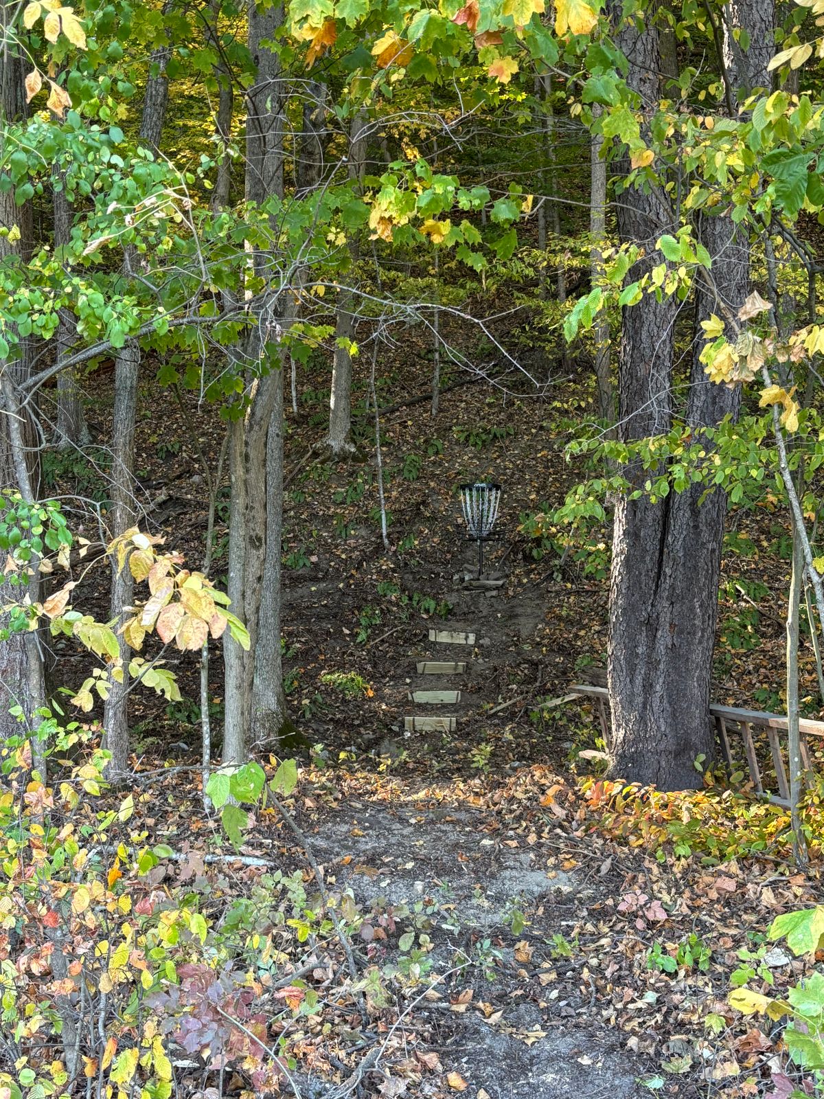 Green of hole 14