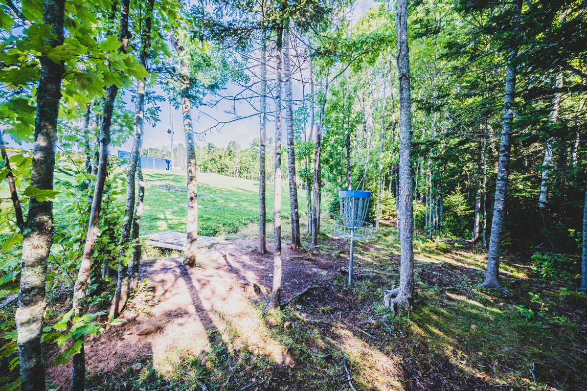 Hole 11 Basket looking towards tee.