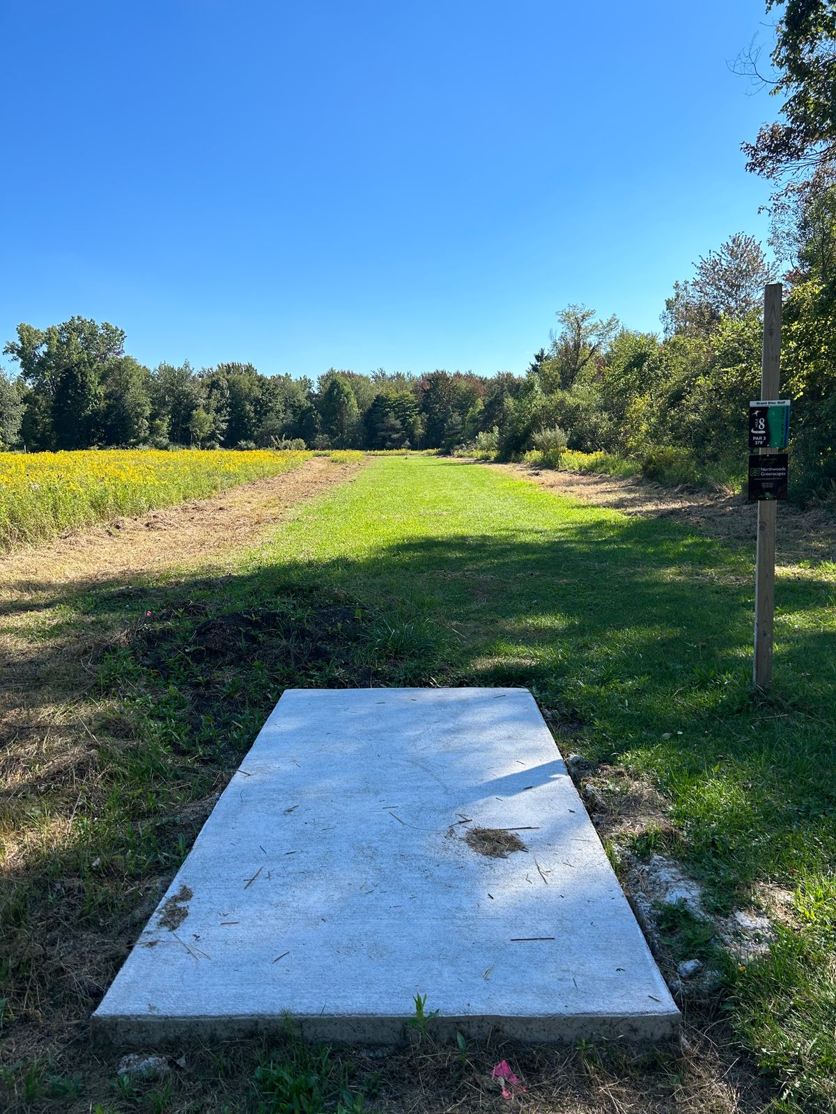 Hole 8