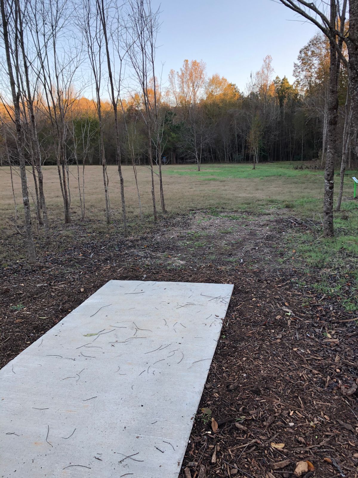 17 tee pad long
