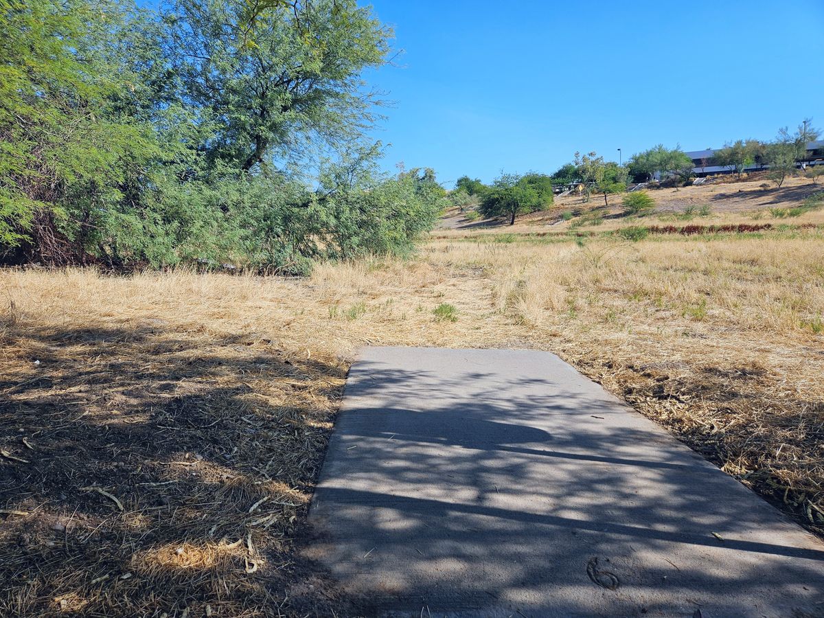 Hole 15