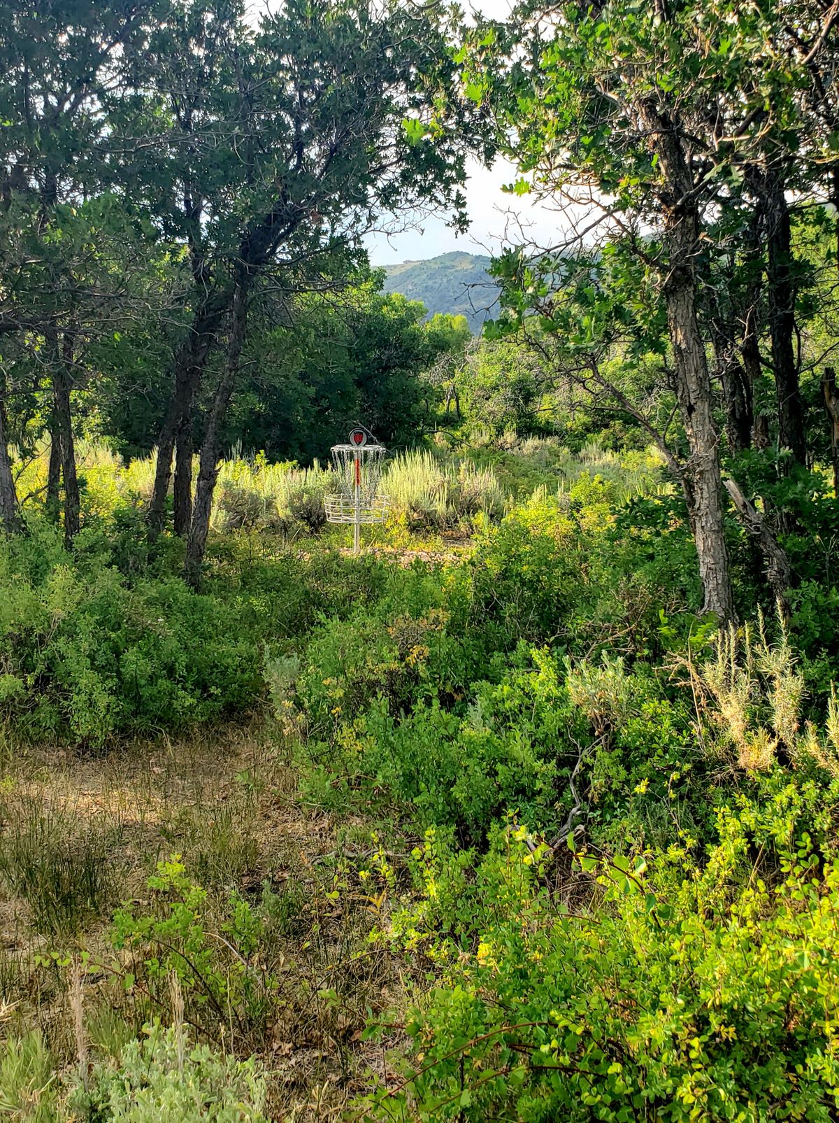 Hole #8