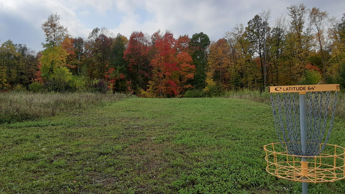 Looking back toward tee pad 8 from basket.