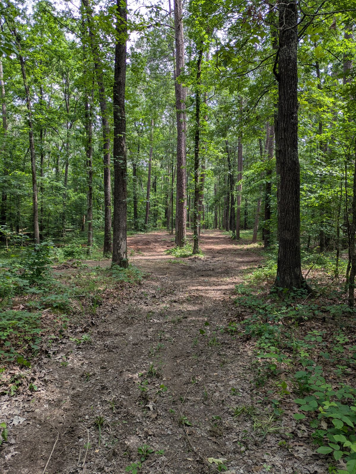Hole 14 Teebox