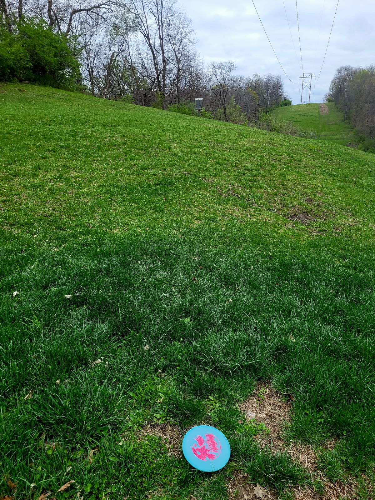 Hole 13 Birdie Make from 94ft
