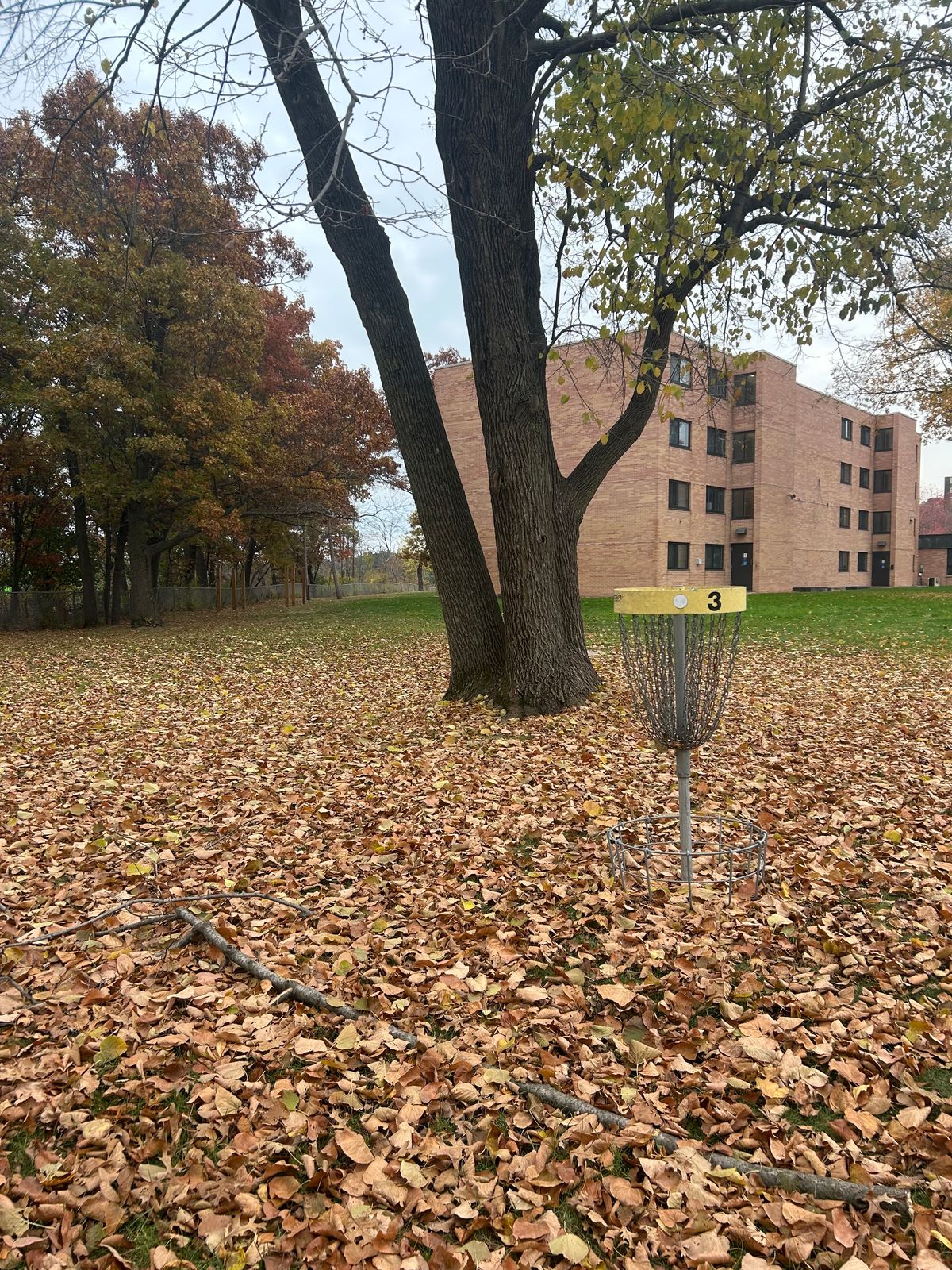 Hole 3 basket - similar to 1, it has been pantsed