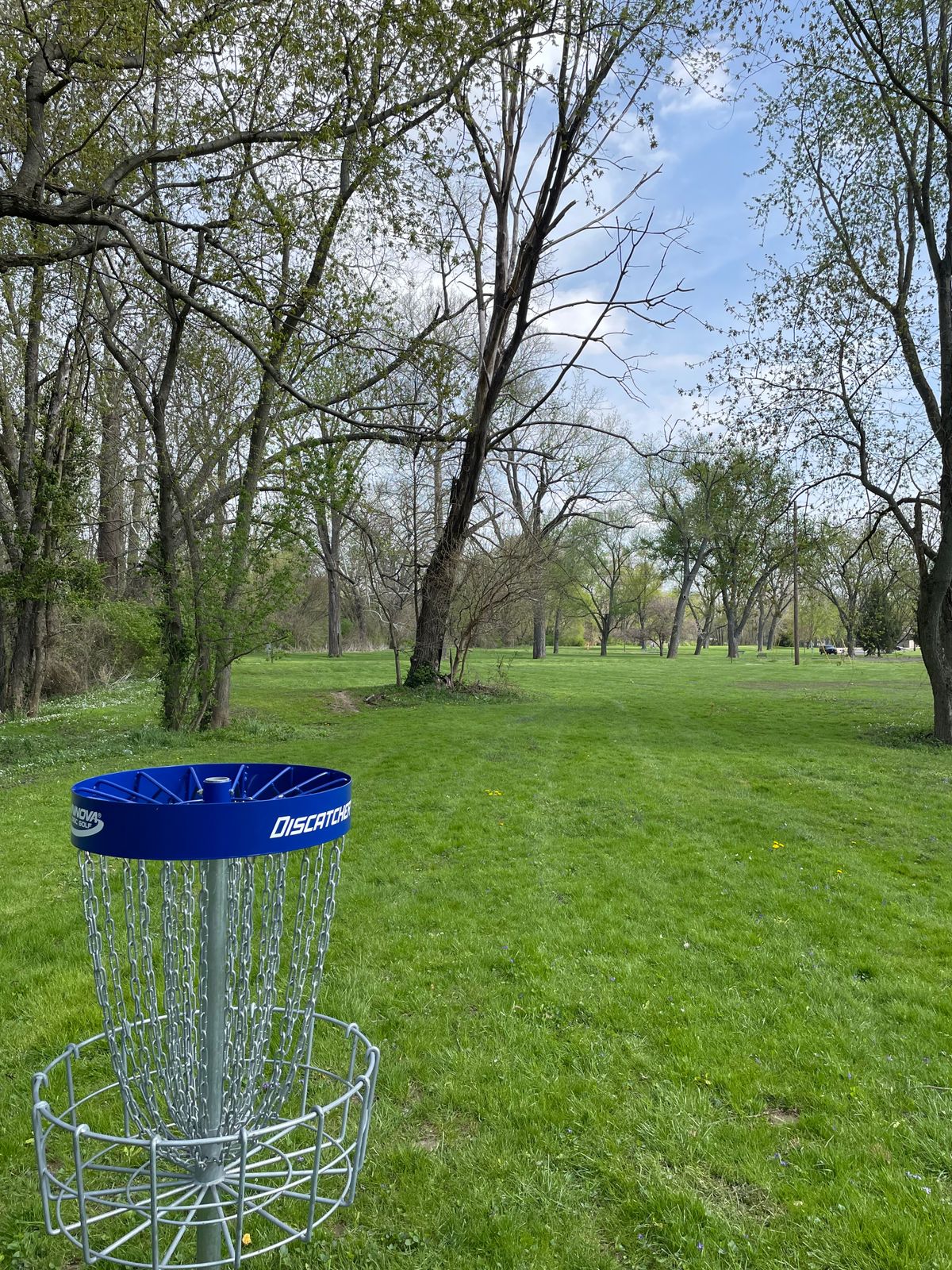 Hole 7 a pin looking back