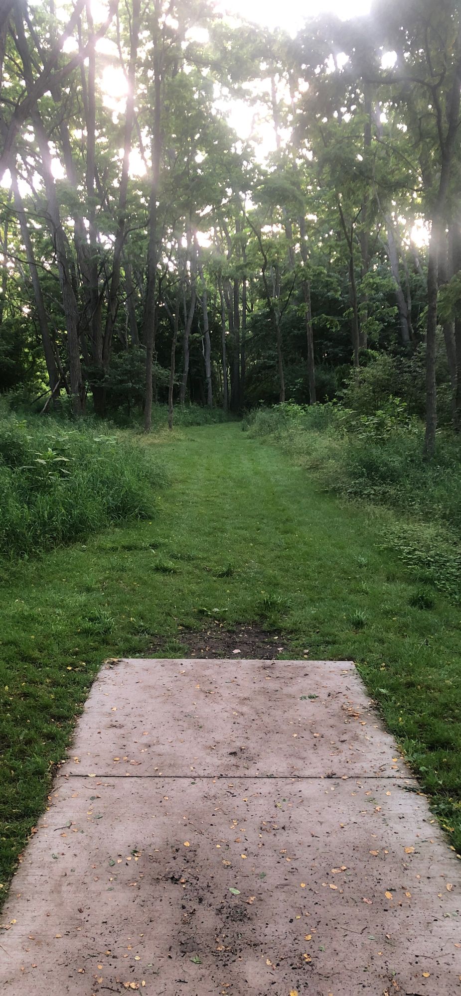 Hole 7 (longs)