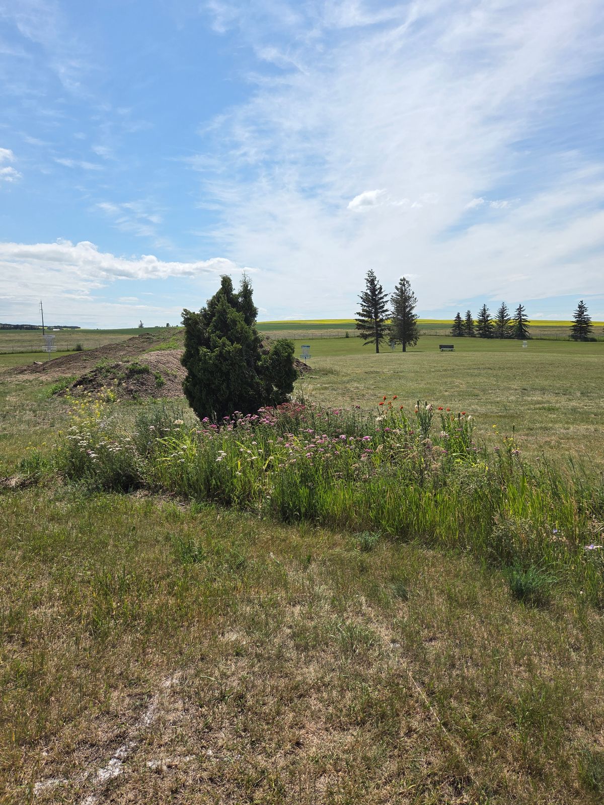 Hole 7 - Near the dirt pile