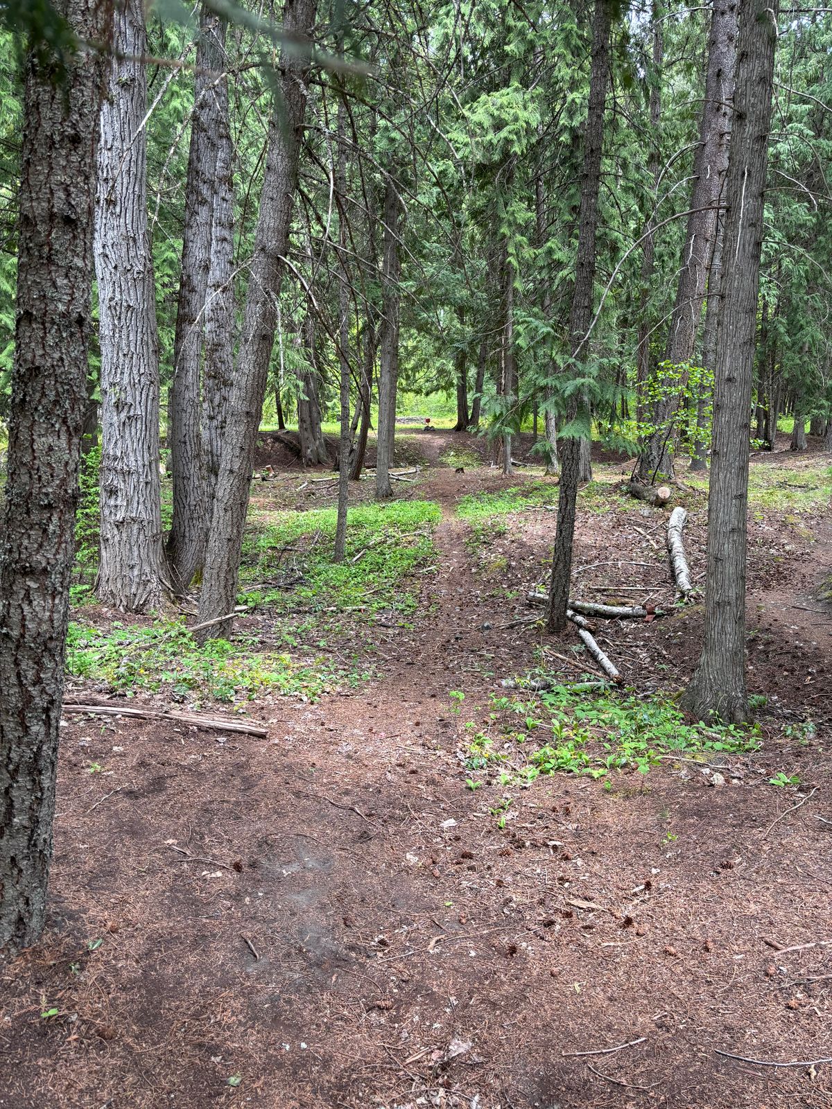 Hole 7