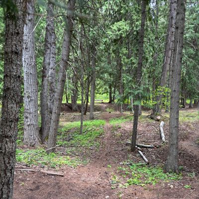 Hole 7