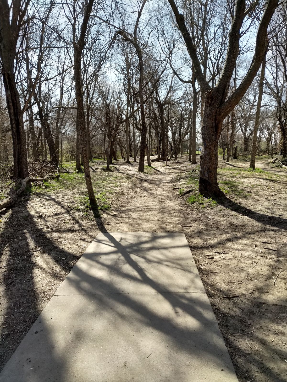 Hole #6 Red Tee (April 2021)