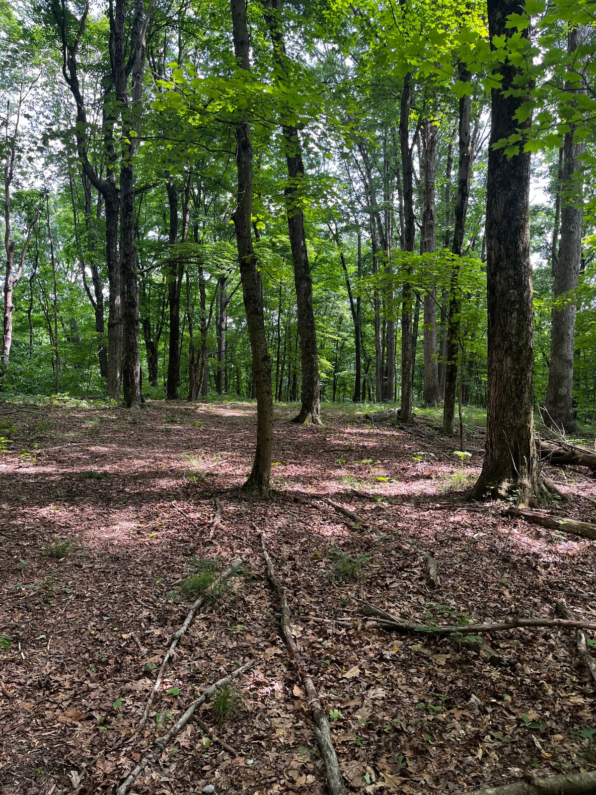 Hole 17 fairway