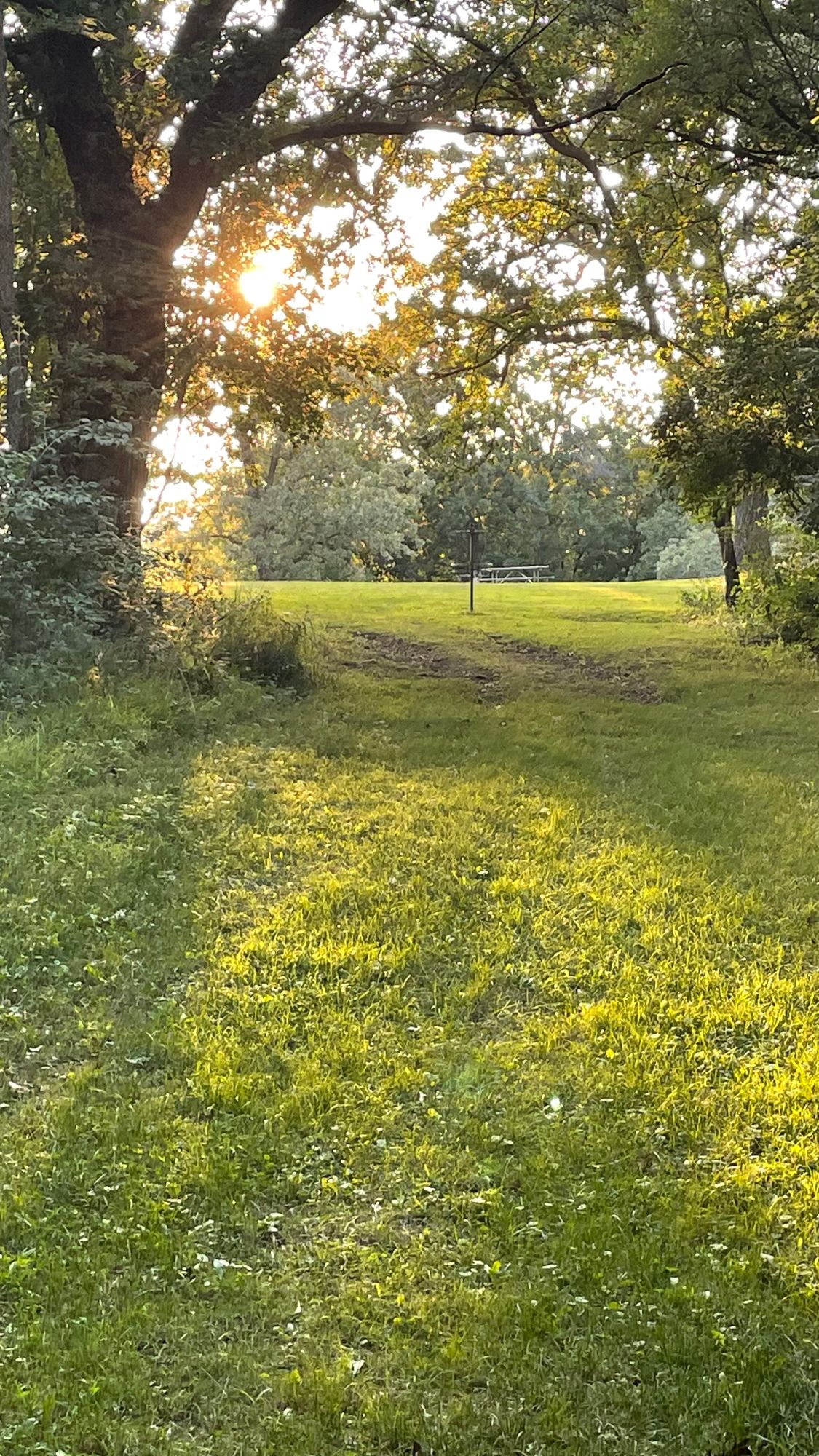 Hole 6 halfway up fairway