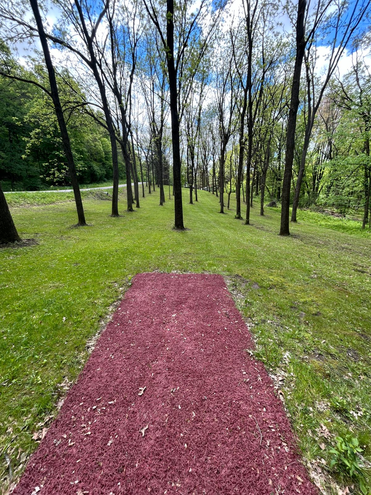 Hole 15 - probably hardest on the course